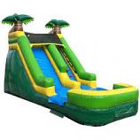 14' Palm Tree Water Slide